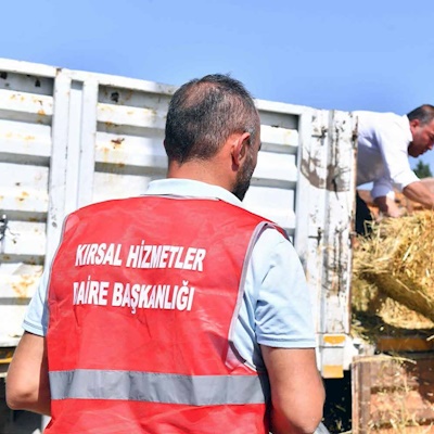 Üretken Belediyecilik